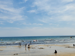 先生方、ぜひご覧ください！